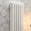 Traditional column radiator